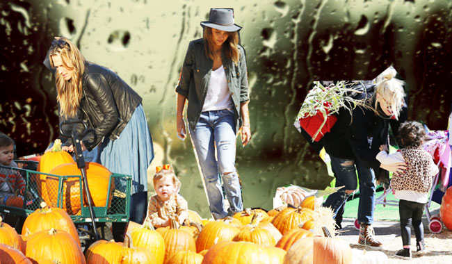 Звездная подготовка к Halloween