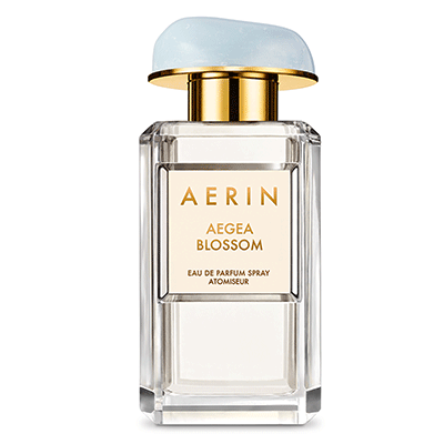 aerin.gif