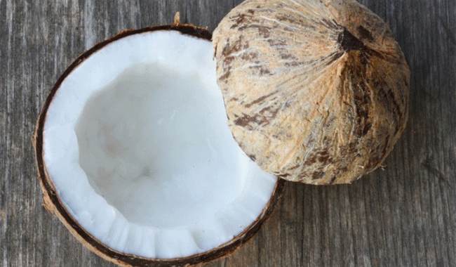 coconut.gif