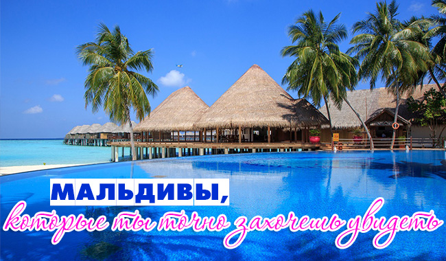 maldives.jpg