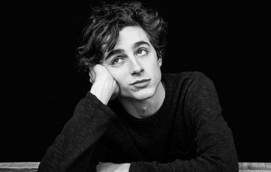 timotheechalamet-woodyallen-salary2.jpg