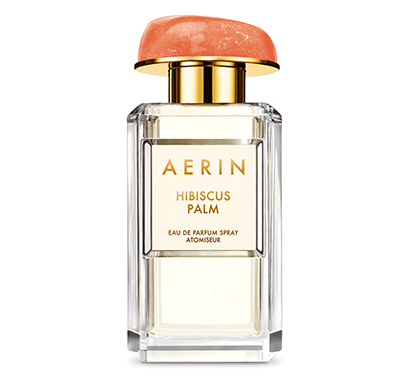 aerin.gif