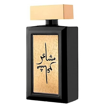 к5-elite-mashaeir-gold-2013-unisex-72780.png