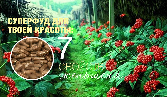апрвар.jpg