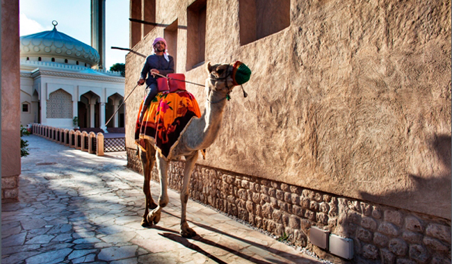 culture_old-dubai_emirati_riding_a_camel_small.jpg