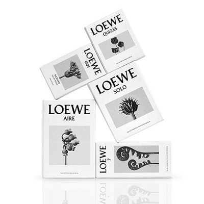 loewe.gif