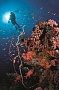 Отель Four Seasons Resot Maldives at Kuda Huraa